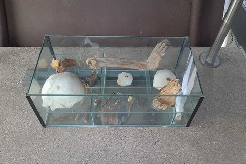 Die Staatsanwaltschaft entscheidet über den weiteren Verbleib der Vitrine und deren Inhalt. (Handoutbild) Foto: -/Polizeipräsidi