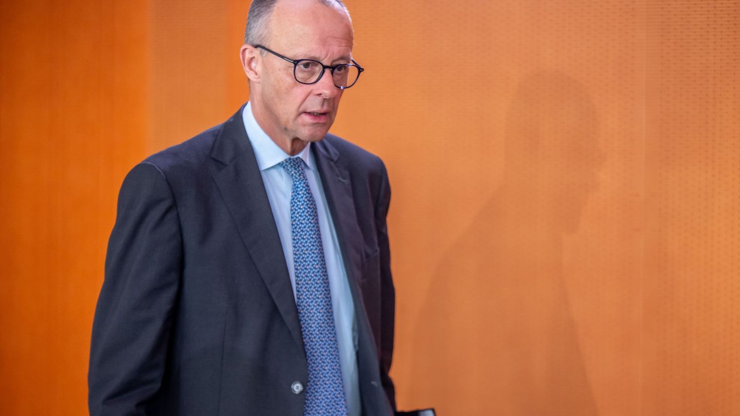 Bundeskanzler Merz lobt die Erfolge der erneuerbaren Energien in Schleswig-Holstein. (Archivbild) Foto: Michael Kappeler/dpa