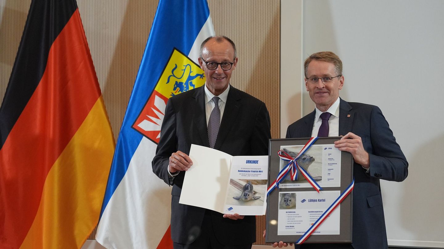 Kanzler Friedich Merz ist nun Pate eines Seehundes. Foto: Marcus Brandt/dpa