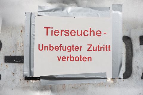 "Tierseuche - Unbefugter Zutritt verboten" steht auf einem Hinweisschild. (Symbolbild) Foto: Matthias Bein/dpa
