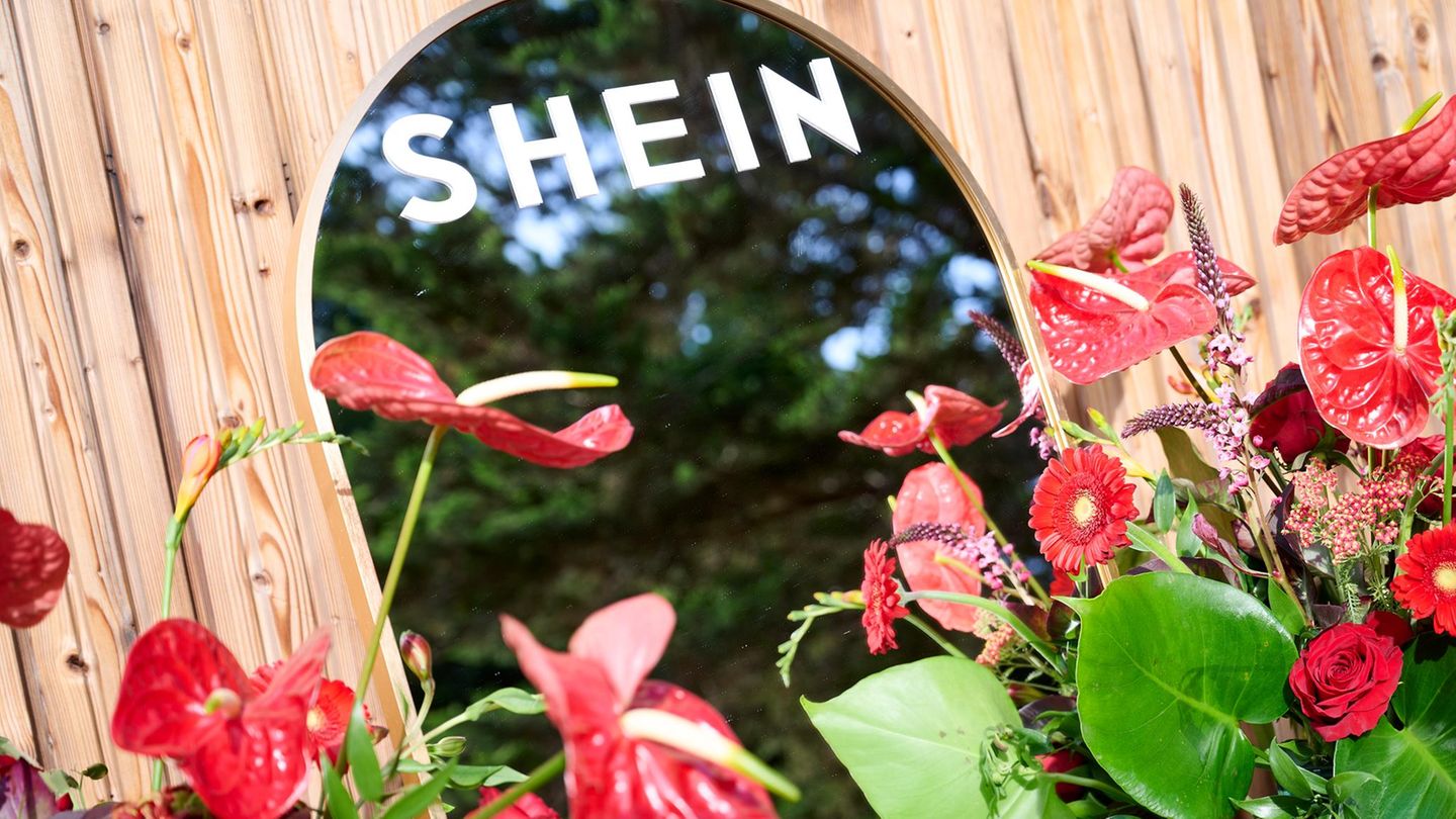 "Pädophiler Charakter": Shein stellt weltweit den Verkauf von Sexpuppen ein