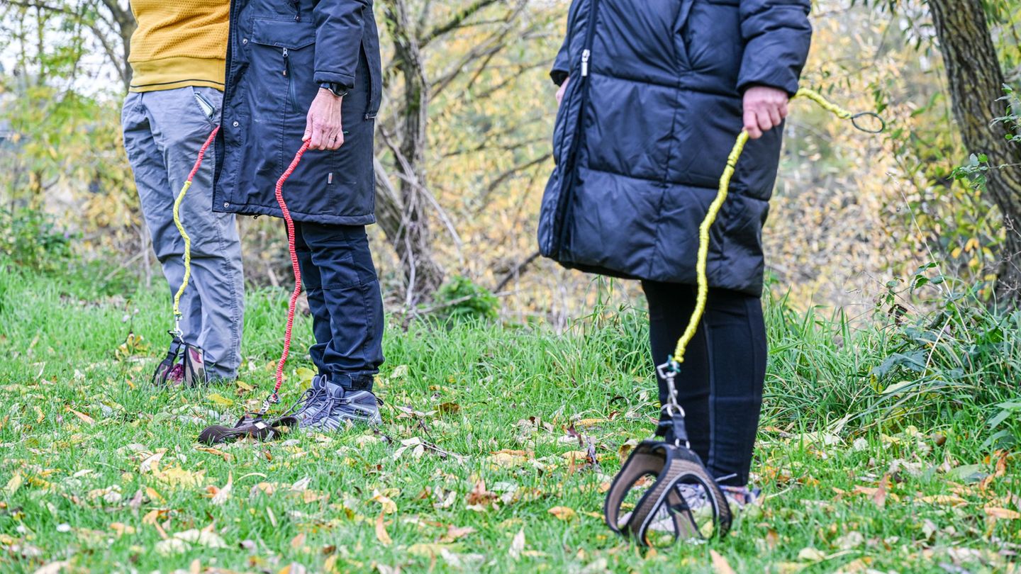 Körperhaltung! Bei den Trockenübungen sollen die Hundeführer besonders ihr eigenes Verhalten im Blick haben. Foto: Jason Tschepl