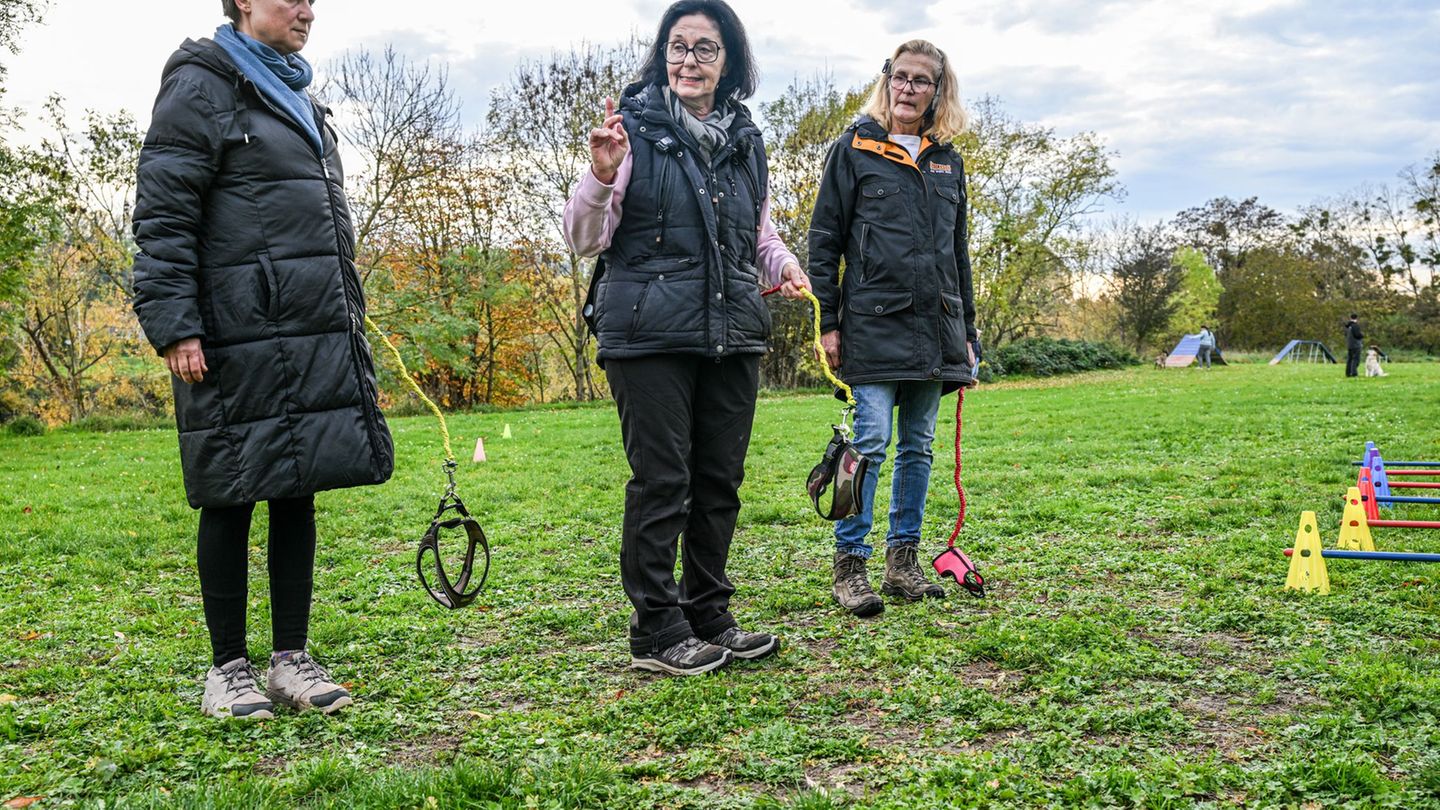 "Weil er so gut war, dürft ihr euren Hund auch loben", sagt Barbara Gerlinger ihren Teilnehmern. Foto: Jason Tschepljakow/dpa