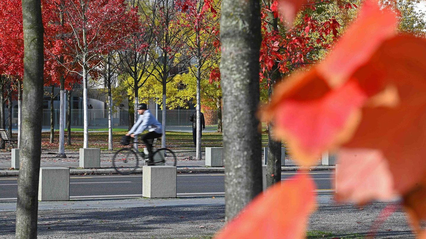 Nächtlicher Frost möglich: Mildes Herbstwetter in Berlin und Brandenburg