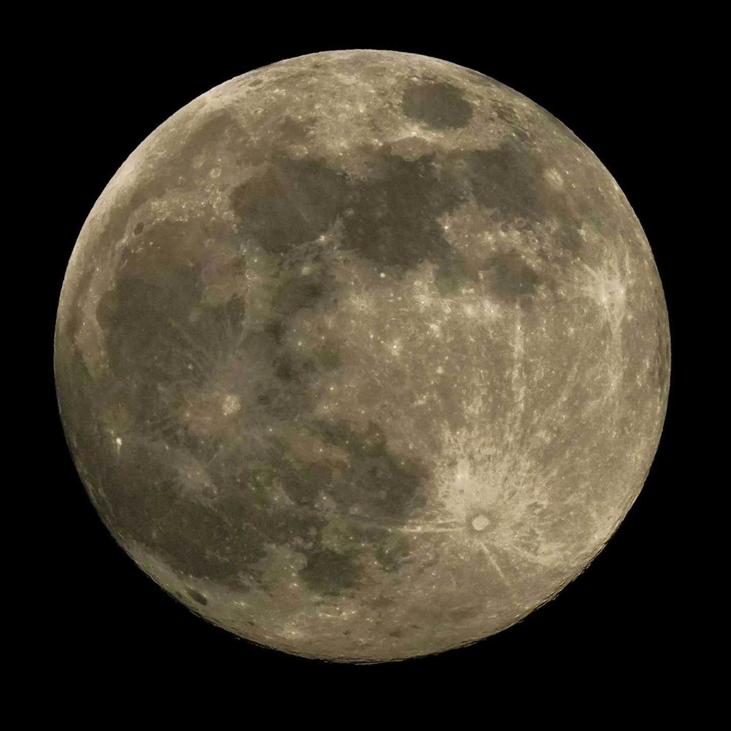 Ein Supermond steht am ansonsten schwarzen Himmel