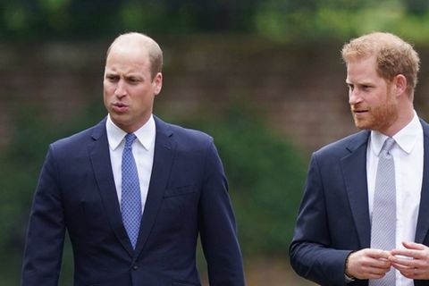 Alles nur Zufall? Prinz Harry (r.) versus Prinz William, Kanada versus Brasilien, Remembrance Day versus Earthshot Prize.
