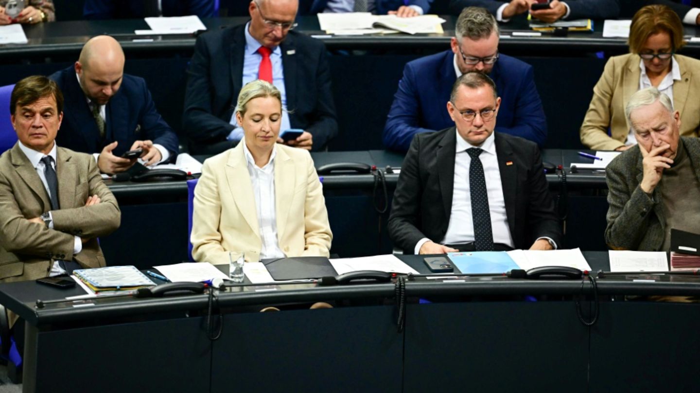 AfD-Fraktion im Bundestag