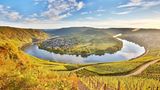 Moselschleife im Herbst