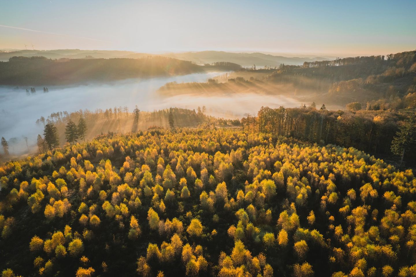 Wälder im Sauerland