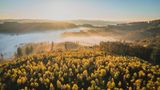 Wälder im Sauerland
