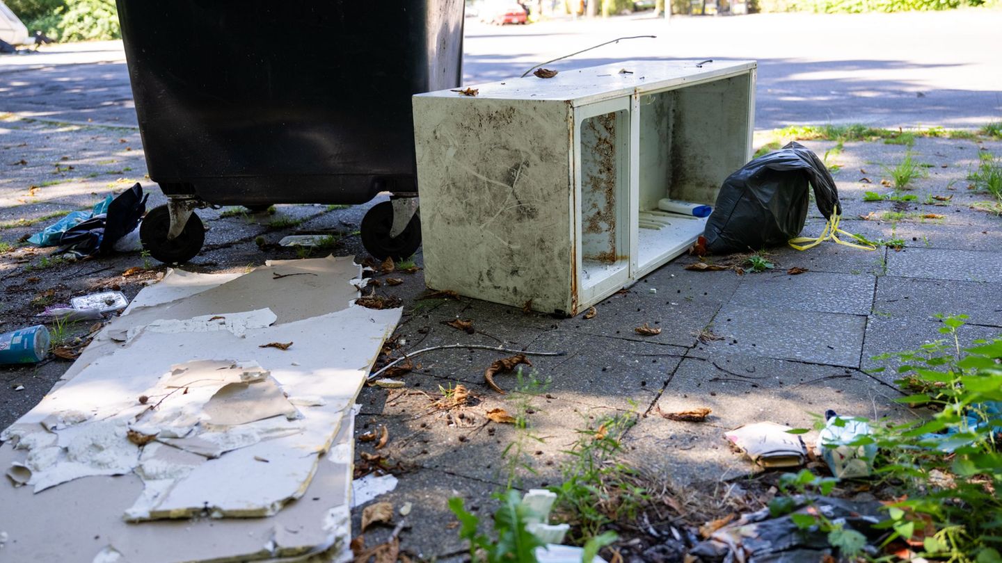 In Berlin finden es viele Menschen normal, Sperrmüll einfach auf der Straße zu entsorgen. (Archivbild) Foto: Christophe Gateau/d