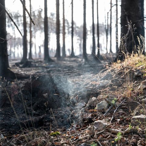 Die Erde steuert der UN zufolge bis zum Ende des Jahrhunderts auf 2,8 Grad Erderwärmung gegenüber der vorindustriellen Zeit zu