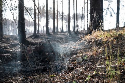 Die Erde steuert der UN zufolge bis zum Ende des Jahrhunderts auf 2,8 Grad Erderwärmung gegenüber der vorindustriellen Zeit zu