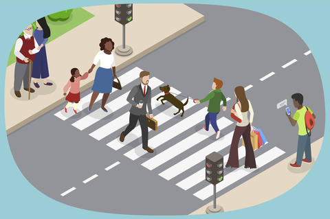 Im Führerschein-Quiz können auch erfahrene Fahrer ihr Verkehrs­wissen auffrischen