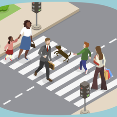 Im Führerschein-Quiz können auch erfahrene Fahrer ihr Verkehrs­wissen auffrischen