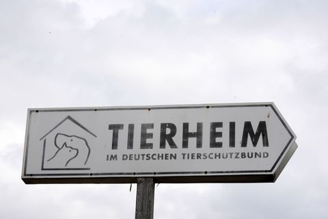 Künftig gibt es mehr Förderung für Tierschutz in Sachsen. (Symbolbild) Foto: Waltraud Grubitzsch/dpa-Zentralbild/dpa