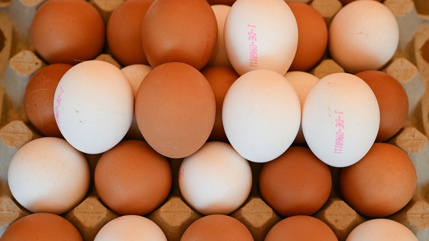 Eier aus regionaler Produktion sind angesichts der Ausbreitung der Vogelgrippe in Hessen gefragt. Foto: Arne Dedert/dpa