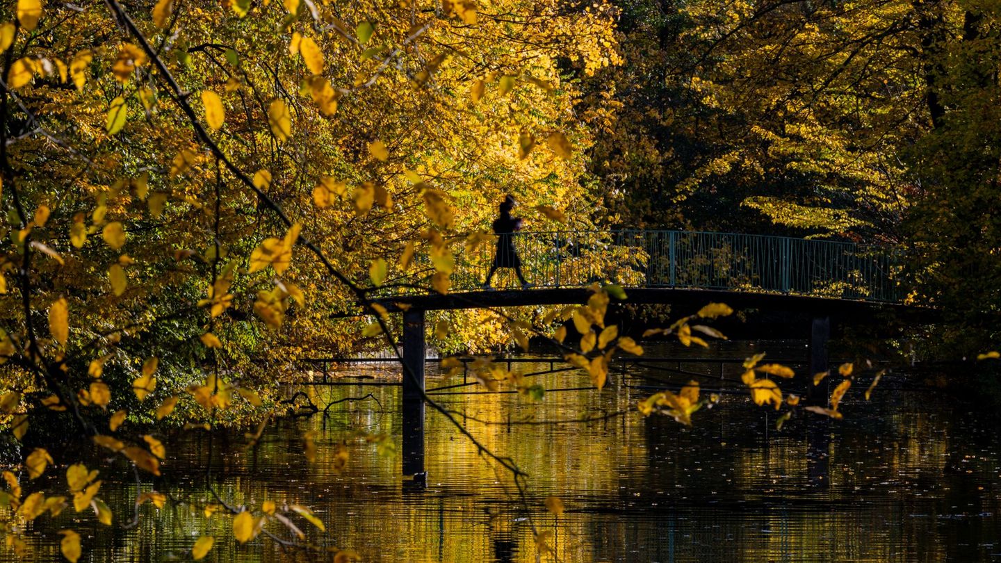 Das Herbstwetter zeigt sich in den kommenden Tagen von seiner goldenen Seite. (Symbolbild) Foto: Rolf Vennenbernd/dpa