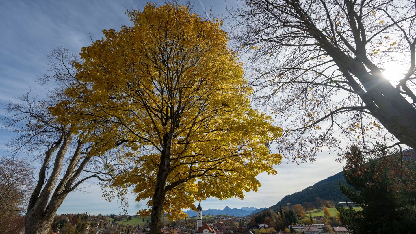Prognose: Bayerns Wetter: Wo Nebel bleibt und wo die Sonne scheint