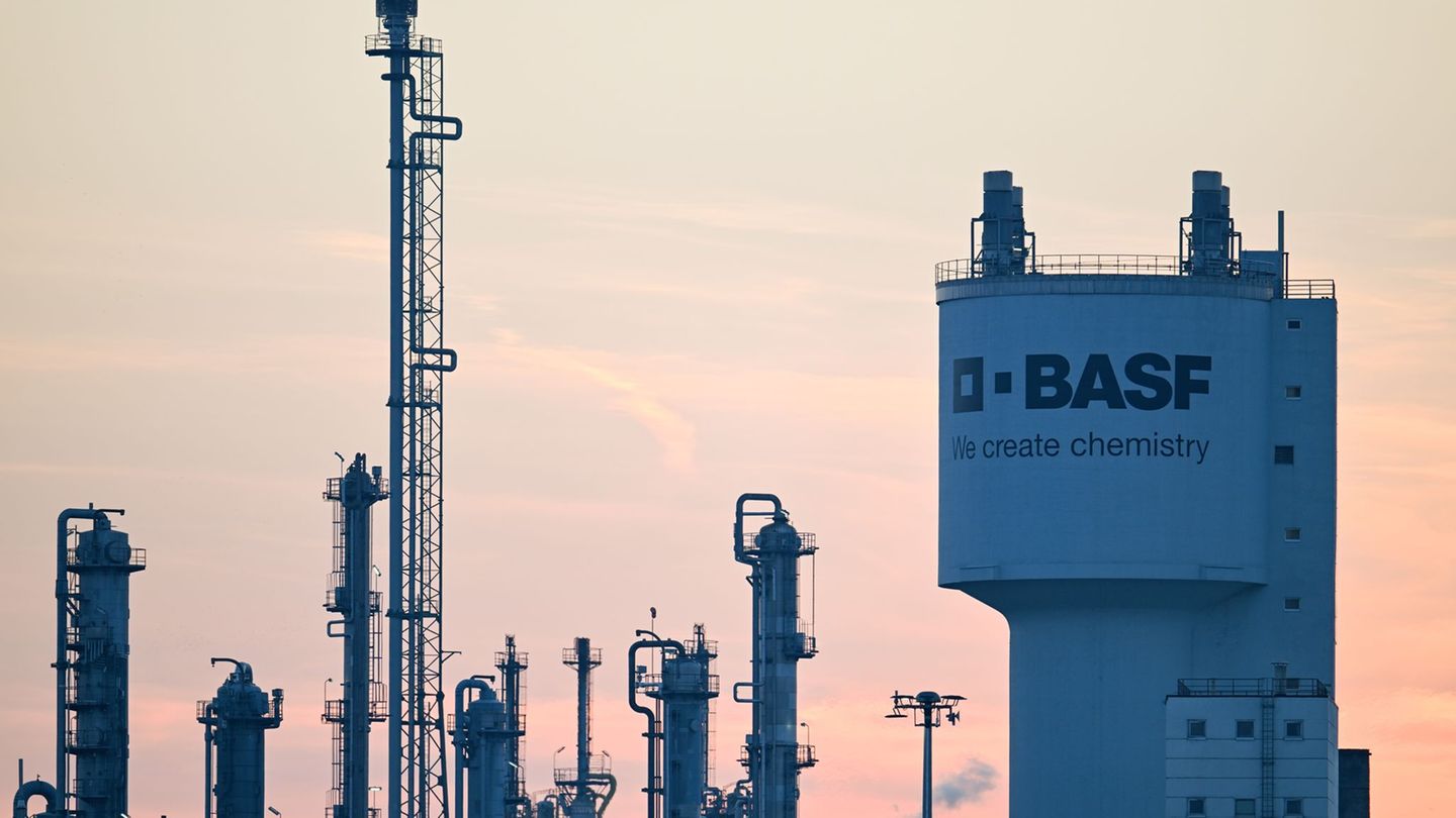 BASF hat trotz heftiger Kritik Milliarden in ein neues Werk in China investiert- (Archivbild) Foto: Uwe Anspach/dpa