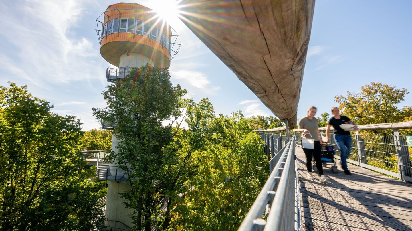 Thüringens Tourismusbranche erzielt im vergangenen Jahr rund 4,17 Milliarden Euro Umsatz. (Symbolbild) Foto: Jacob Schröter/dpa