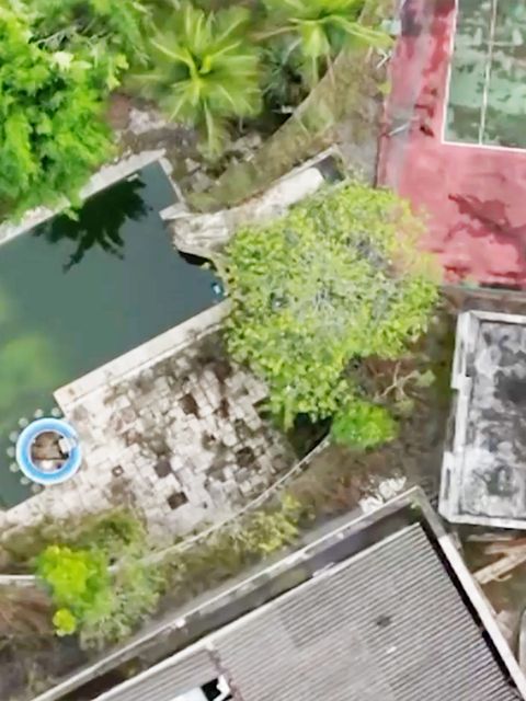 Videos zeigen Villa von Fußball-Ikone Pelé völlig verwahrlost