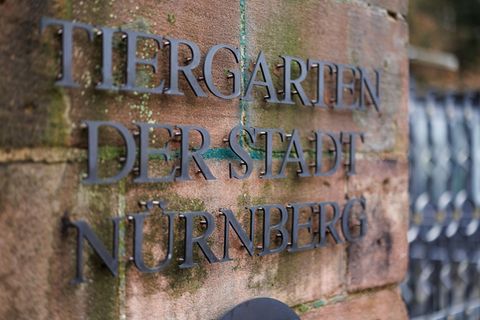 In Nürnberg sind rund 50 Vogelarten von strengen Schutzmaßnahmen betroffen. (Archivbild) Foto: Daniel Karmann/dpa