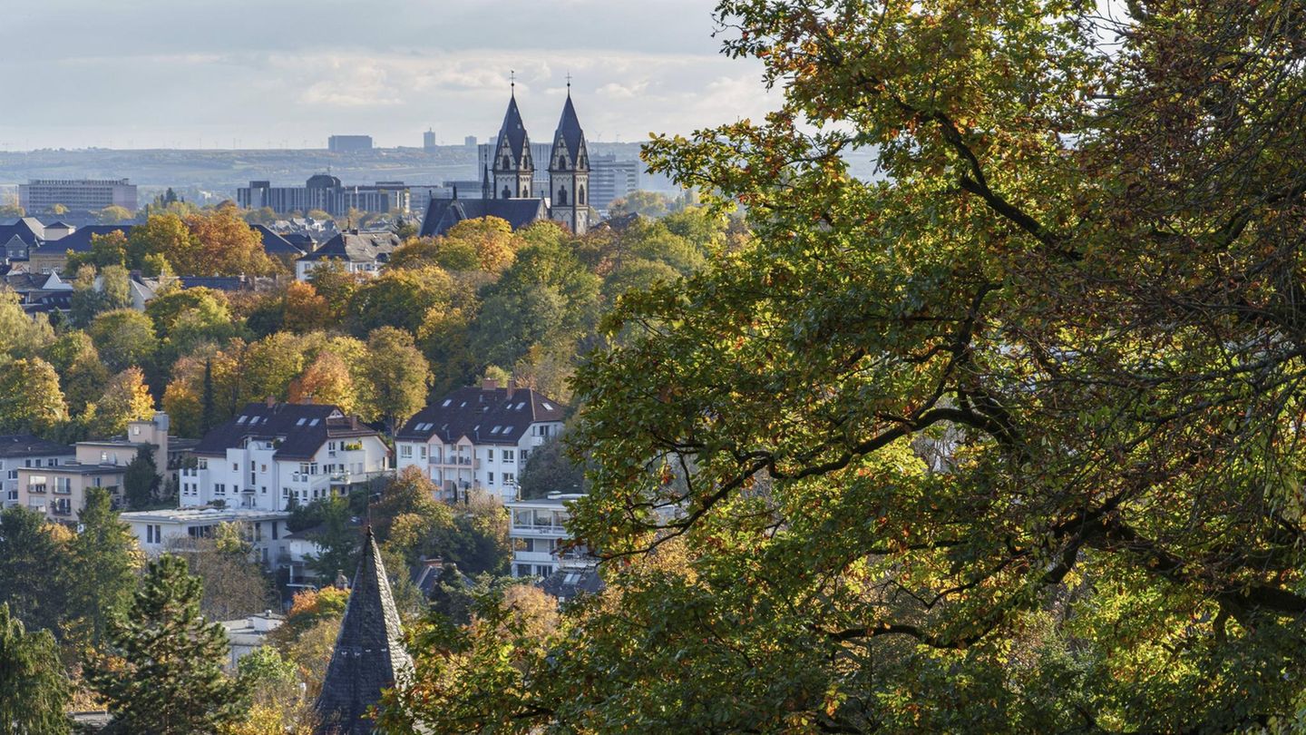 stern City Champions 2025/2026: Ausgezeichnete Filialbanken in Wiesbaden
