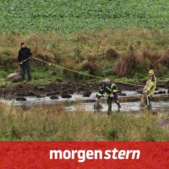 Polizisten suchen Mitte Oktober den Tümpel ab, an dessen Ufer die Leiche von Fabian gefunden wurde