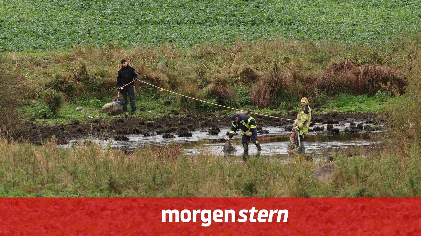 morgenstern: Neue Hoffnung in einem grausigen Mordfall