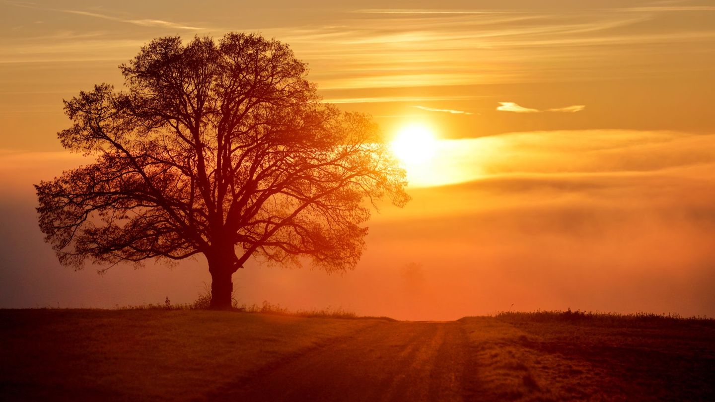 Herbstwetter: Nebel legt sich übers Land - aber auch Sonne möglich