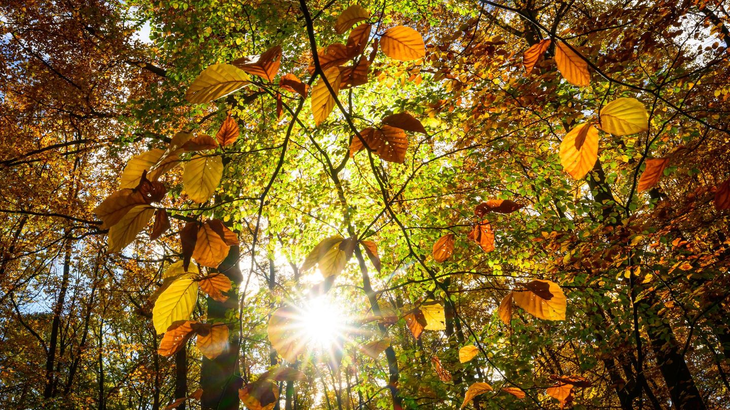 Wetter: Sonniges Wetter in Berlin und Brandenburg
