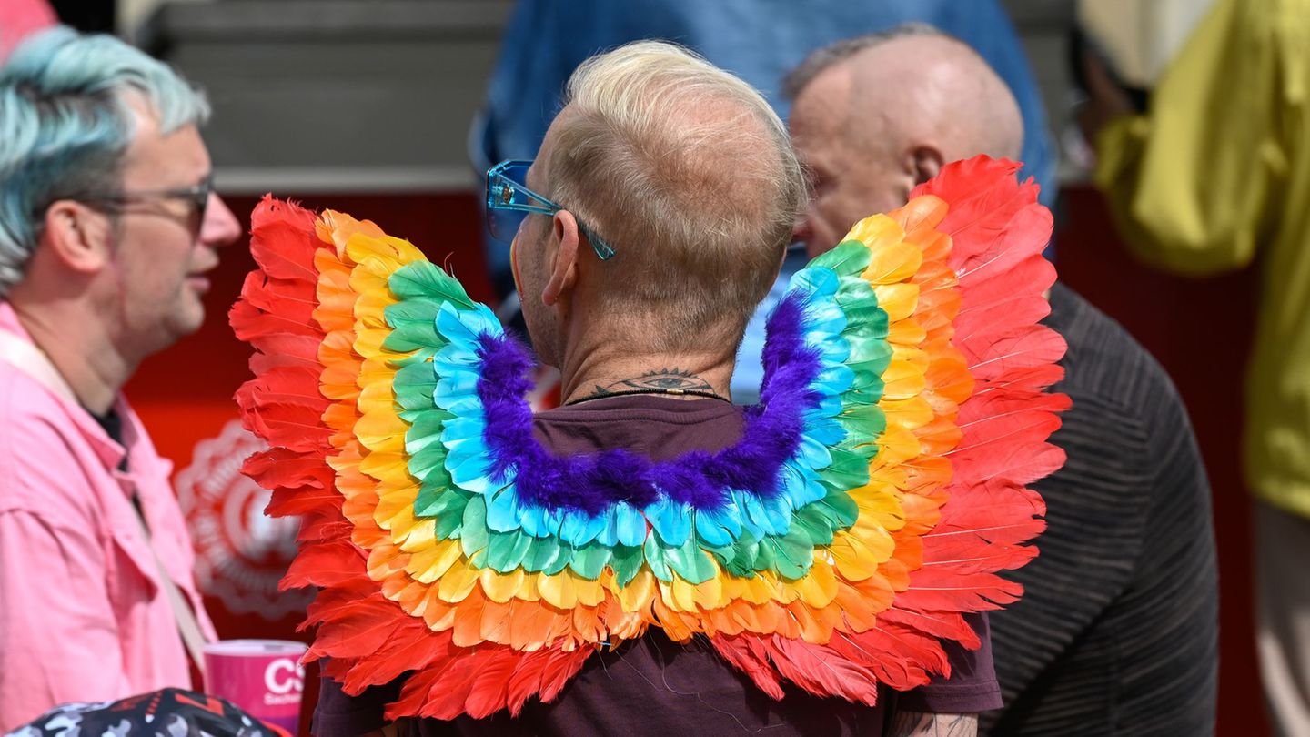 Magdeburg wird 2026 Gastgeber für Pride-Vertreter aus ganz Europa. (Archivbild) Foto: Heiko Rebsch/dpa
