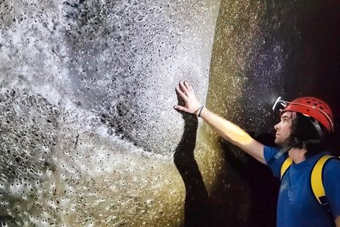 Forscher entdecken wohl größtes Spinnennetz der Welt – mit über 100.000 Tieren