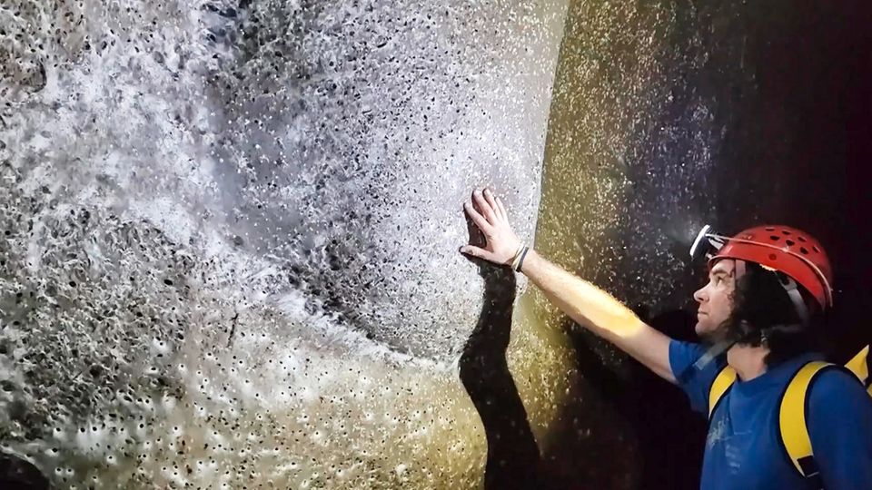 Forscher entdecken wohl größtes Spinnennetz der Welt – mit über 100.000 Tieren