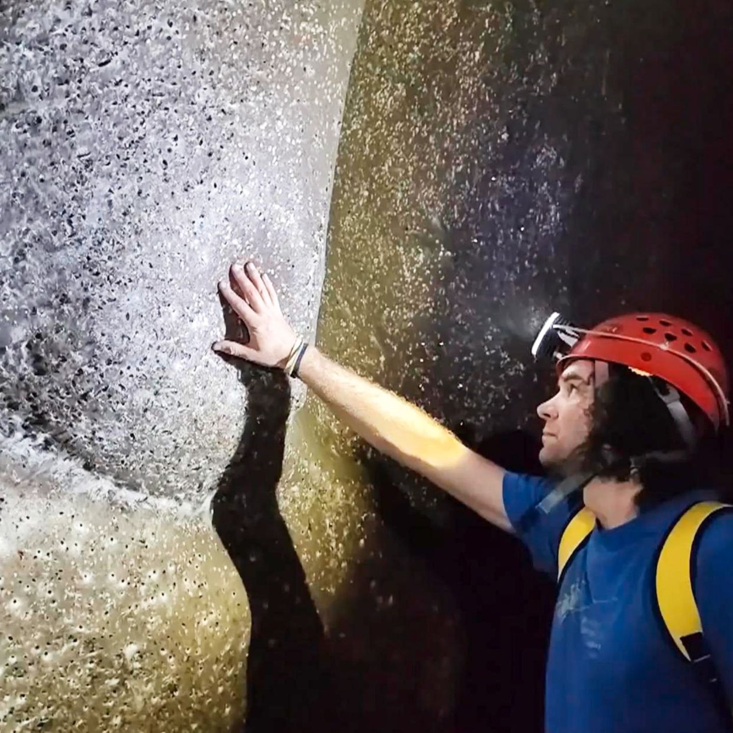 Forscher entdecken wohl größtes Spinnennetz der Welt – mit über 100.000 Tieren