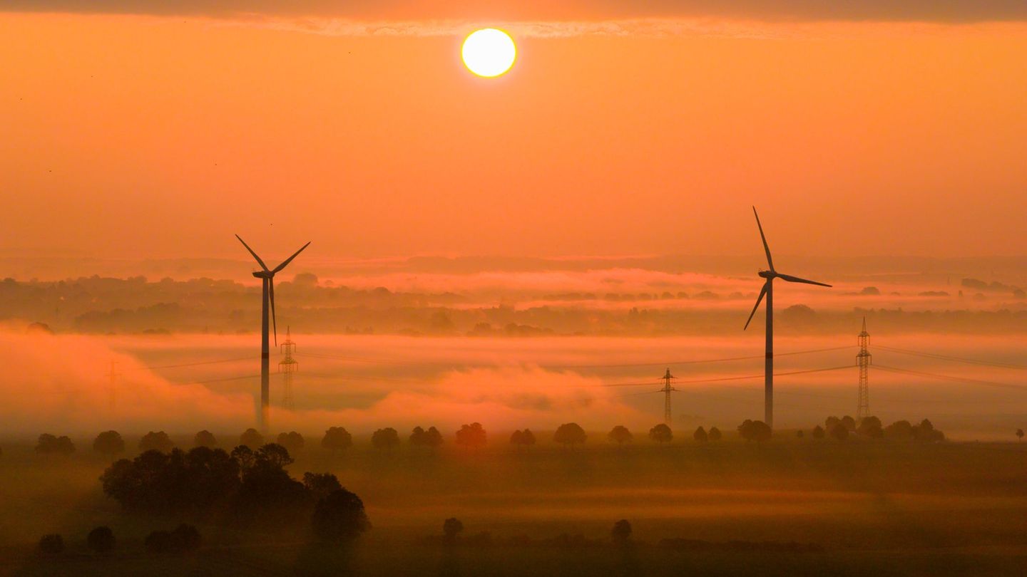 Die OECD fordert mehr Tempo beim Klimaschutz. (Archivbild) Foto: Julian Stratenschulte/dpa