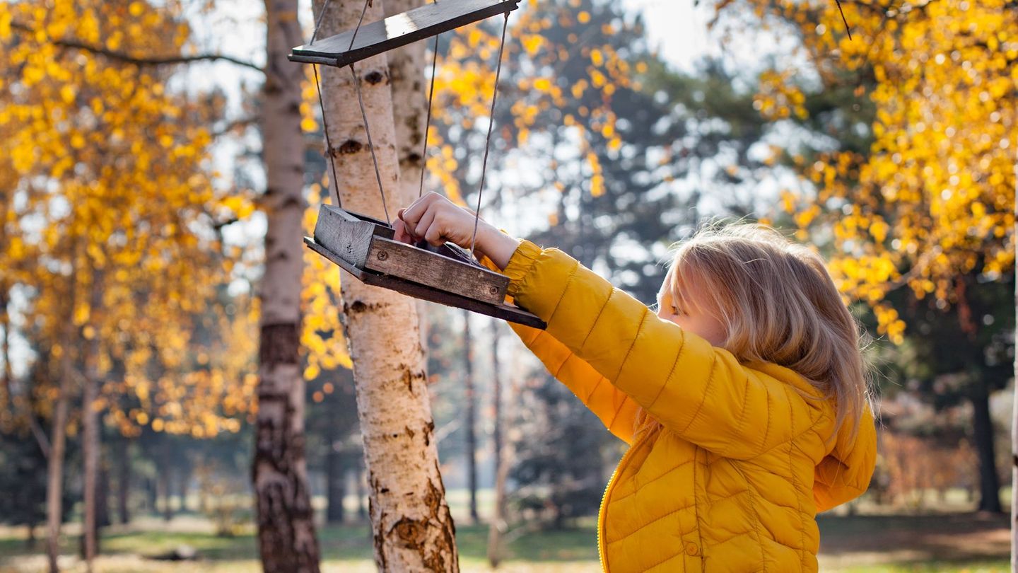 Der Naturschutzbund Deutschland (NABU) empfiehlt, Wildvögel im Winter zu füttern – von Oktober oder November bis etwa Februar. Wenn Vögel Ihre Futterstelle entdecken, können Sie sie länger beobachten und Kinder lernen so leicht, heimische Arten zu unterscheiden. In den Sommermonaten sollte dagegen nicht gefüttert werden, da große Körner, Nüsse oder Fettfutter Jungvögeln schaden können, die nur Insekten gewohnt sind.