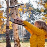 Der Naturschutzbund Deutschland (NABU) empfiehlt, Wildvögel im Winter zu füttern – von Oktober oder November bis etwa Februar. Wenn Vögel Ihre Futterstelle entdecken, können Sie sie länger beobachten und Kinder lernen so leicht, heimische Arten zu unterscheiden. In den Sommermonaten sollte dagegen nicht gefüttert werden, da große Körner, Nüsse oder Fettfutter Jungvögeln schaden können, die nur Insekten gewohnt sind.