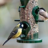 Fertigmischungen für Körnerfresser sollten zu etwa zwei Dritteln aus Sonnenblumenkernen und zu einem Viertel aus Hanfsaat bestehen. Beide enthalten viele gesunde Fette und liefern viel Energie. Für den restlichen Anteil können Sie Haferflocken, gehackten Nüssen sowie kleinere Samen wie Mohn, Hirse, Leinsamen oder Amarant verwenden.