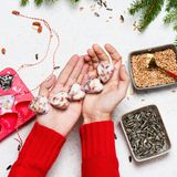 Fett-Körner-Mischungen gibt es auch in gefüllten Kokosnussschalen. Diese können Sie auch wiederverwenden. Verzichten Sie auf Knödel oder Ringe in Kunststoffnetzen oder Plastikverpackungen, da sich Vögel darin verfangen und verletzen können. Zudem vermeiden Sie so unnötigen Plastikmüll. Tipp: Füllen Sie die Fett-Körner-Mischung in Eiswürfelformen, stecken Sie eine Schnur hinein und hängen Sie die Stücke nach dem Aushärten auf.