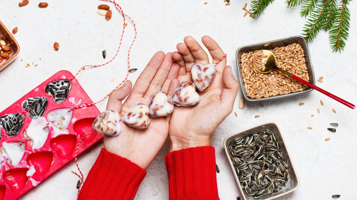 Fett-Körner-Mischungen gibt es auch in gefüllten Kokosnussschalen. Diese können Sie auch wiederverwenden. Verzichten Sie auf Knödel oder Ringe in Kunststoffnetzen oder Plastikverpackungen, da sich Vögel darin verfangen und verletzen können. Zudem vermeiden Sie so unnötigen Plastikmüll. Tipp: Füllen Sie die Fett-Körner-Mischung in Eiswürfelformen, stecken Sie eine Schnur hinein und hängen Sie die Stücke nach dem Aushärten auf.