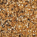 Kaufen Sie möglichst hochwertiges Vogelfutter aus biologischem Anbau. Pestizide aus konventioneller Landwirtschaft können auch Vögeln schaden. Günstige Futtermischungen enthalten oft zu viele Weizenkörner, die viele Vögel liegen lassen. Dadurch bleibt viel Futter am Boden zurück. Zudem können in Billigfutter Samen invasiver Pflanzenarten enthalten sein, die sich unkontrolliert ausbreiten.