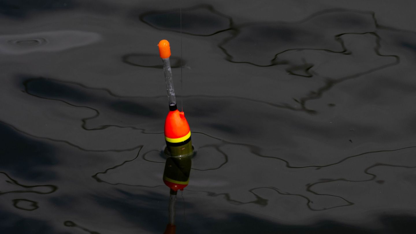 Einen 34 Zentimeter großen lebenden Fisch fand die Polizei an der Angel des Jugendlichen. (Symbolbild) Foto: Stefan Sauer/dpa