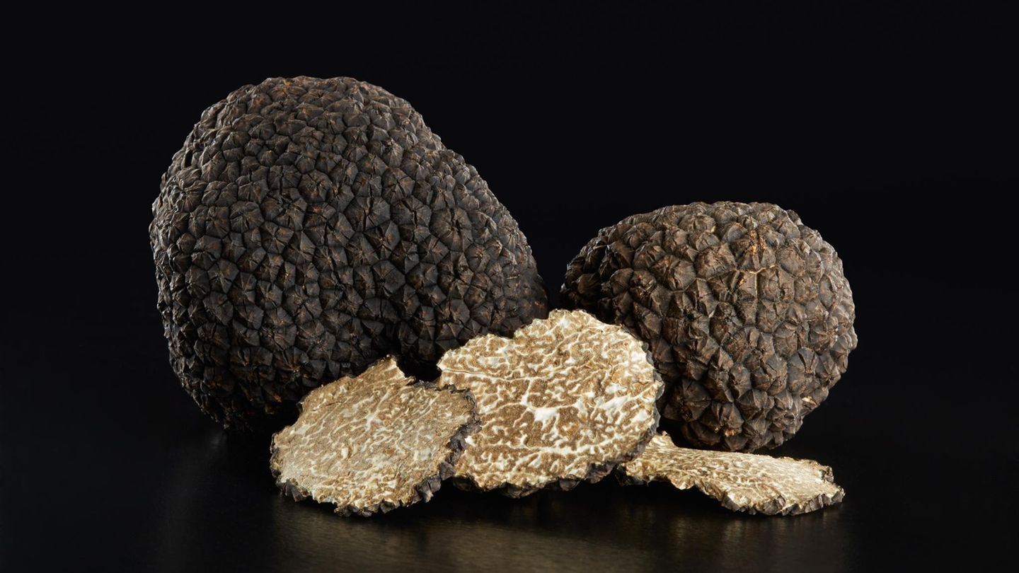 Edle Trüffelknollen