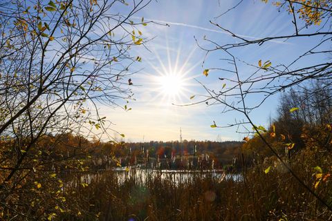 Das Hasenmoor ist eins von mehreren Naturschutzgebieten, die neu ausgewiesen werden sollen. Foto: Christian Charisius/dpa