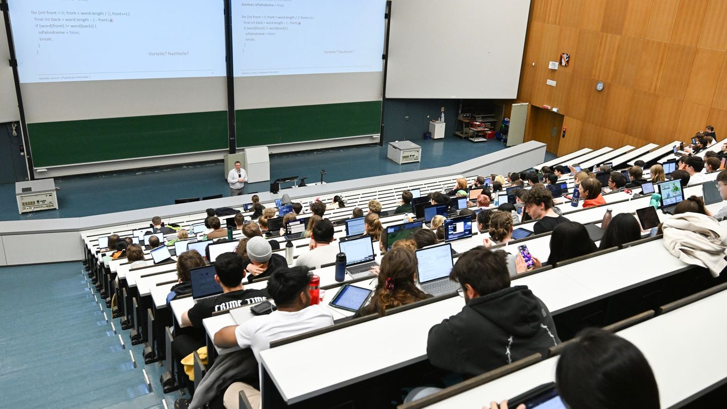 V kleti Univerze v Tübingenu našli čilsko samotarsko pajka, nevarnega za ugriz