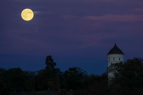 Sachsen erlebt ein ruhiges, teils trübes Herbstwochenende mit milden Temperaturen und lokal kräftigem Wind. Foto: Jan Woitas/dpa