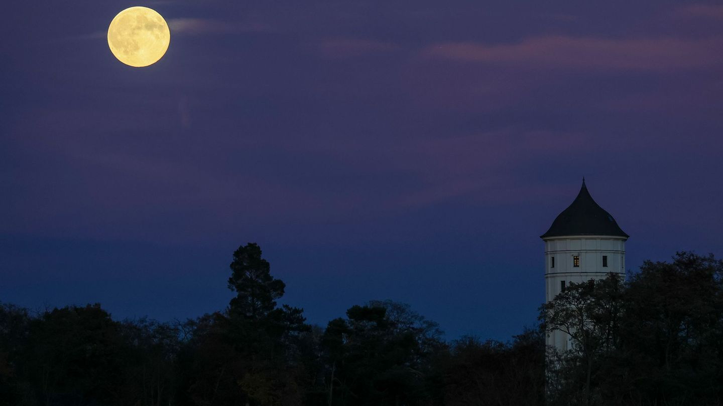 Sachsen erlebt ein ruhiges, teils trübes Herbstwochenende mit milden Temperaturen und lokal kräftigem Wind. Foto: Jan Woitas/dpa