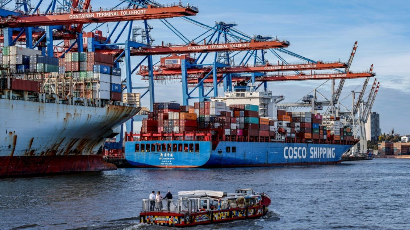 Container-Schiffe im Hamburger Hafen